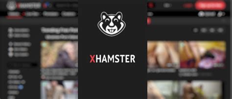 xhamsr|Free Adult Porn Videos 